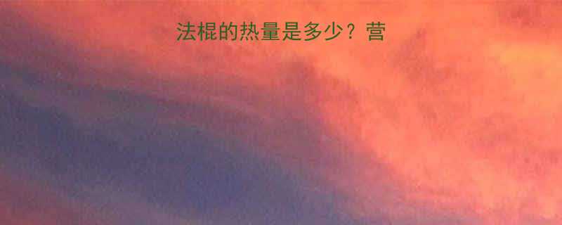 法棍热量全一条法棍的热量是多少营养师带你科学吃法棍-第3张图片-ZBLOG