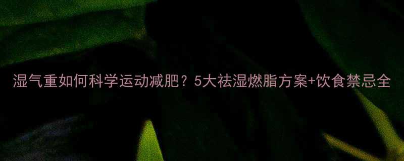 湿气重如何科学运动减肥5大祛湿燃脂方案饮食禁忌全-第1张图片-ZBLOG