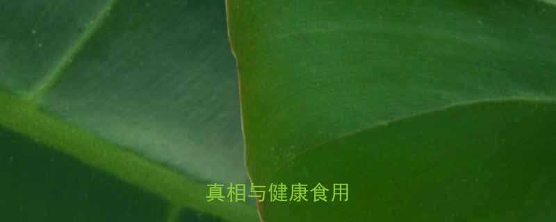 湿西瓜子热量：营养真相与健康食用指南-第1张图片-ZBLOG