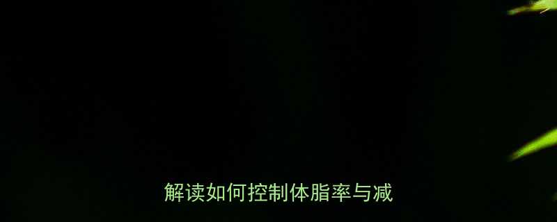 热量与脂肪的深层关系科学解读如何控制体脂率与减脂效率-第1张图片-ZBLOG