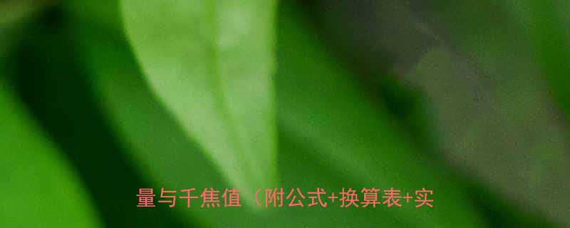 热量和千焦换算器：如何正确计算食物热量与千焦值（附公式+换算表+实用工具）-第1张图片-ZBLOG