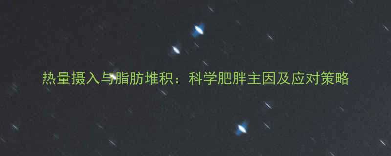 热量摄入与脂肪堆积科学肥胖主因及应对策略-第1张图片-ZBLOG