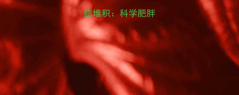 热量摄入与脂肪堆积科学肥胖主因及应对策略-第3张图片-ZBLOG