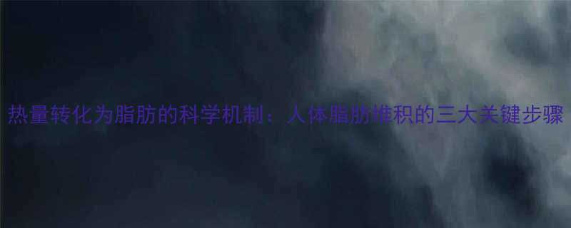 热量转化为脂肪的科学机制人体脂肪堆积的三大关键步骤-第1张图片-ZBLOG
