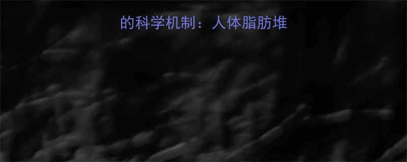 热量转化为脂肪的科学机制人体脂肪堆积的三大关键步骤-第3张图片-ZBLOG