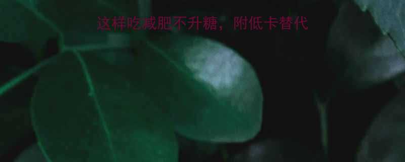 玉米片热量高真相这样吃减肥不升糖附低卡替代方案附营养师建议-第1张图片-ZBLOG