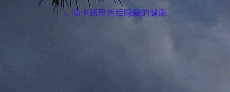 玉米面粉热量真相高卡路里背后隐藏的健康密码与低卡替代方案-第2张图片-ZBLOG