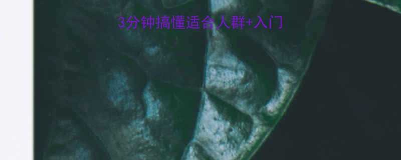 瑜伽是剧烈运动吗3分钟搞懂适合人群入门指南附私教建议-第2张图片-ZBLOG