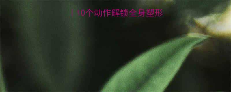 瑜伽球在家高效燃脂10个动作解锁全身塑形零基础跟练指南-第1张图片-ZBLOG