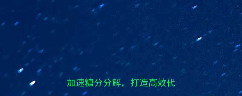 甜食代谢全攻略5个科学方法加速糖分分解打造高效代谢体质-第2张图片-ZBLOG