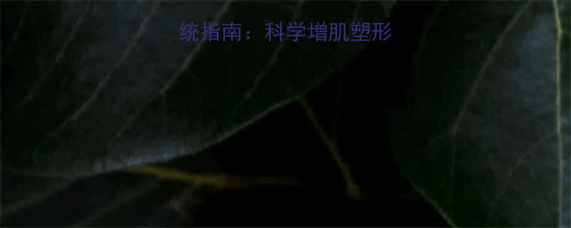 男士健美运动系统指南科学增肌塑形方法与训练计划全-第1张图片-ZBLOG