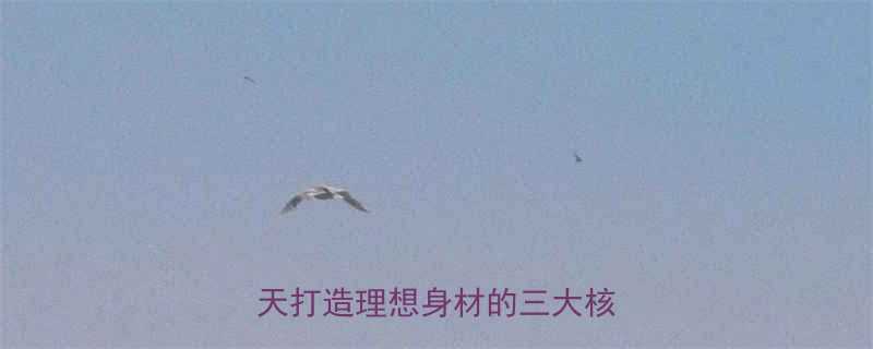 男生快速健身减肥全攻略30天打造理想身材的三大核心法则-第2张图片-ZBLOG