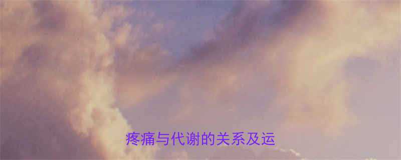 疼痛会消耗多少热量科学疼痛与代谢的关系及运动建议-第2张图片-ZBLOG