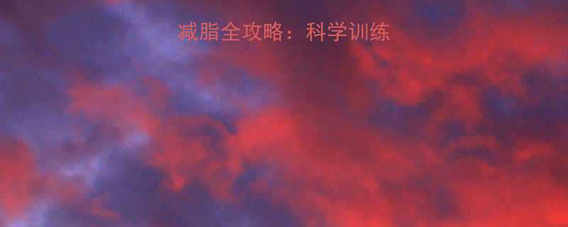 瘦子健身增肌减脂全攻略科学训练计划与饮食指南-第3张图片-ZBLOG