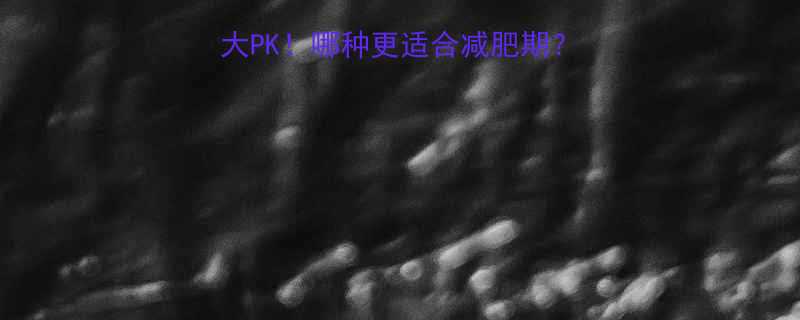 白米粥VS豆浆热量大PK！哪种更适合减肥期？附营养师私藏选品攻略-第1张图片-ZBLOG