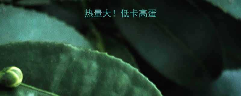 白胡椒方便面热量大低卡高蛋白吃法get-第1张图片-ZBLOG