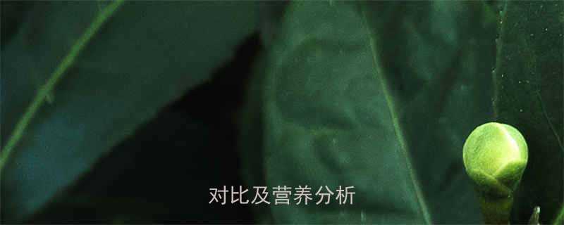 皮蛋与鸡蛋的热量对比及营养分析指南-第2张图片-ZBLOG