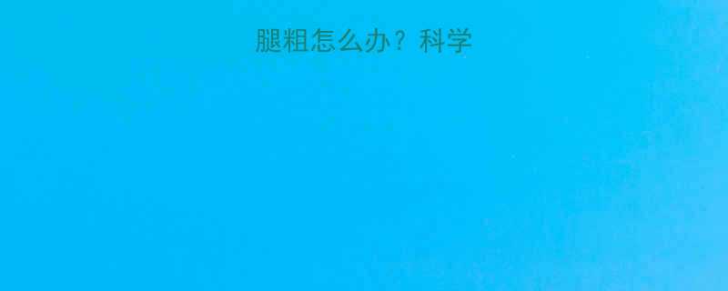 短跑运动员小腿粗怎么办？科学训练与饮食方案-第1张图片-ZBLOG