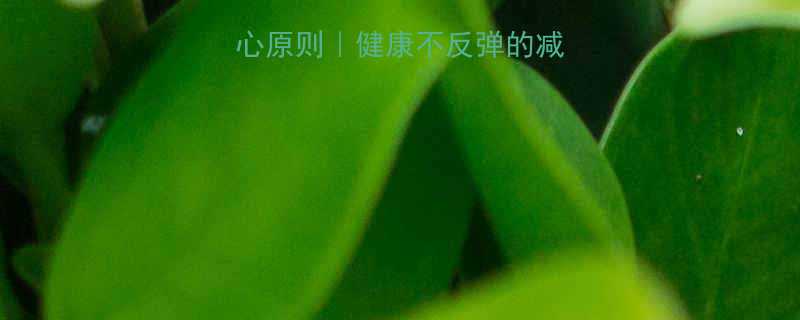 科学减脂7大核心原则健康不反弹的减重指南附食谱-第1张图片-ZBLOG