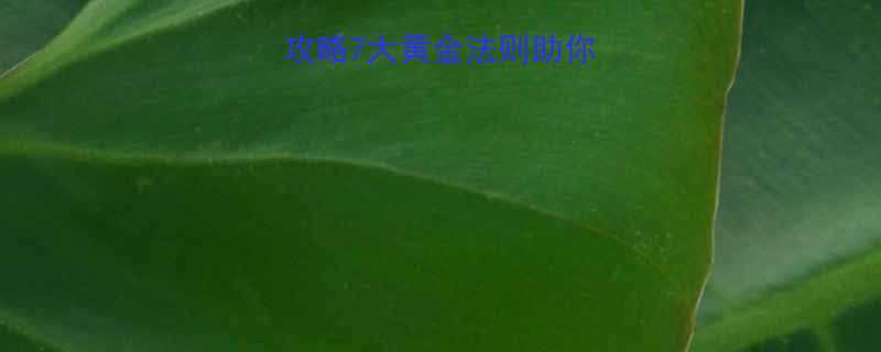 科学减脂保肌全攻略7大黄金法则助你健康瘦出紧致线条-第2张图片-ZBLOG