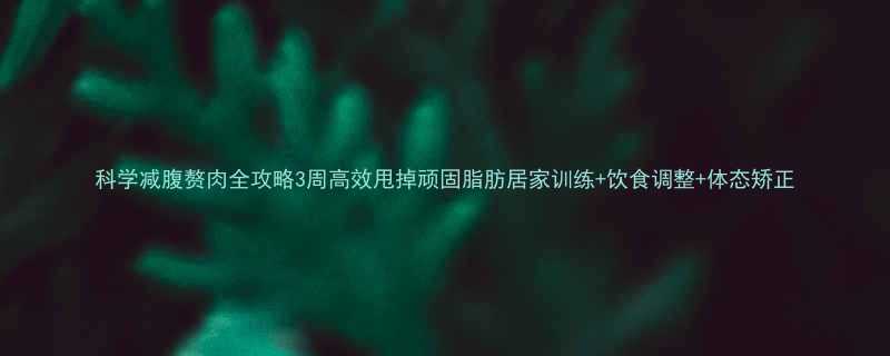 科学减腹赘肉全攻略3周高效甩掉顽固脂肪居家训练饮食调整体态矫正-第1张图片-ZBLOG