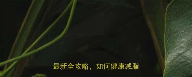 科学制定健身锻炼计划的好处最新全攻略如何健康减脂塑形-第1张图片-ZBLOG