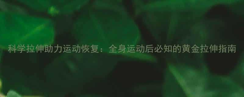 科学拉伸助力运动恢复：全身运动后必知的黄金拉伸指南-第1张图片-ZBLOG