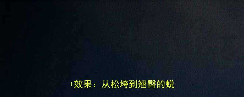 科学提臀指南30天提臀运动对比图效果从松垮到翘臀的蜕变全过程-第2张图片-ZBLOG