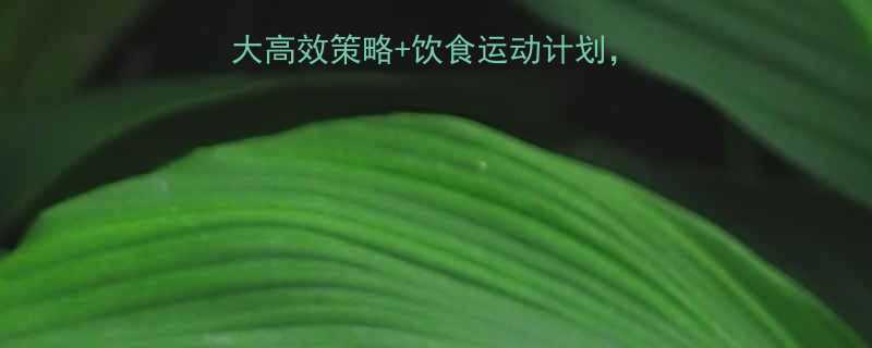 5大高效策略+饮食运动计划，30天健康瘦身全攻略-第2张图片-ZBLOG