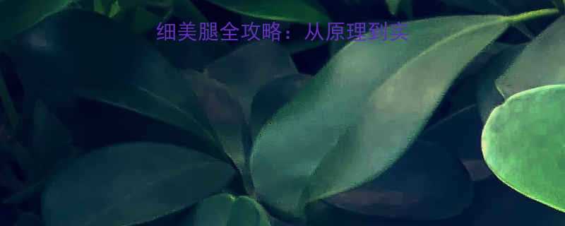 科学有效7天打造纤细美腿全攻略从原理到实操的完整减腿围方案-第1张图片-ZBLOG