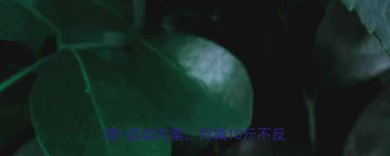 科学有效的减肥方法居家跟练饮食管理运动方案月减10斤不反弹全攻略-第3张图片-ZBLOG