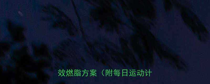 7天高效燃脂方案（附每日运动计划表）-第2张图片-ZBLOG