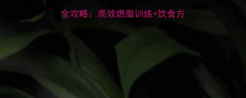 科学验证女性健身房减肥全攻略高效燃脂训练饮食方案附月减8斤真实案例-第1张图片-ZBLOG