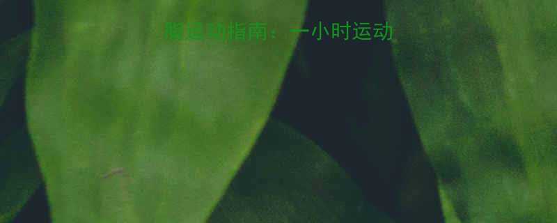 科学验证高效燃脂运动指南一小时运动如何帮助减重1斤-第1张图片-ZBLOG