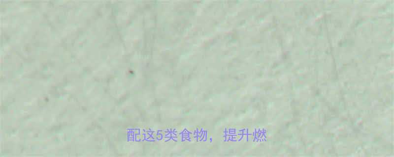 空腹健身前吃点什么科学搭配这5类食物提升燃脂效率-第1张图片-ZBLOG