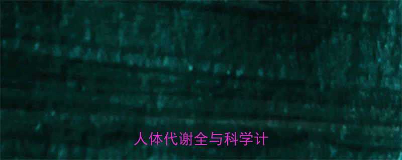 站5小时消耗多少热量？人体代谢全与科学计算公式-第1张图片-ZBLOG