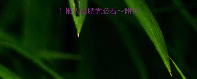 粗纤维低卡食物清单懒人减肥党必看附10种神仙吃法避雷指南-第2张图片-ZBLOG