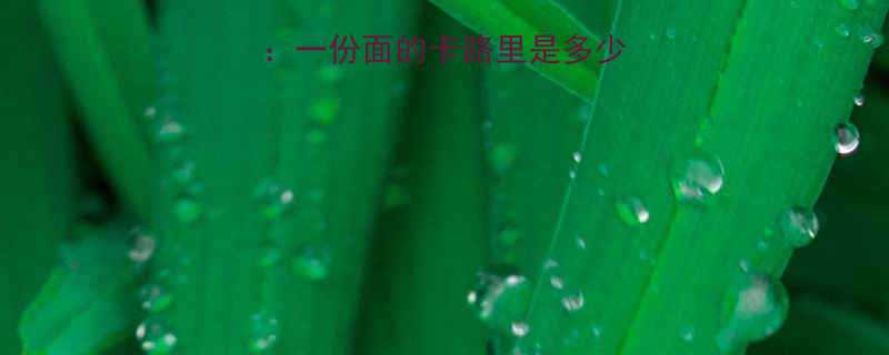 紫菜鸡蛋面热量一份面的卡路里是多少如何吃更健康-第1张图片-ZBLOG