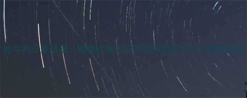 纯牛肉汉堡热量健康饮食必知的营养数据与低卡搭配指南-第2张图片-ZBLOG