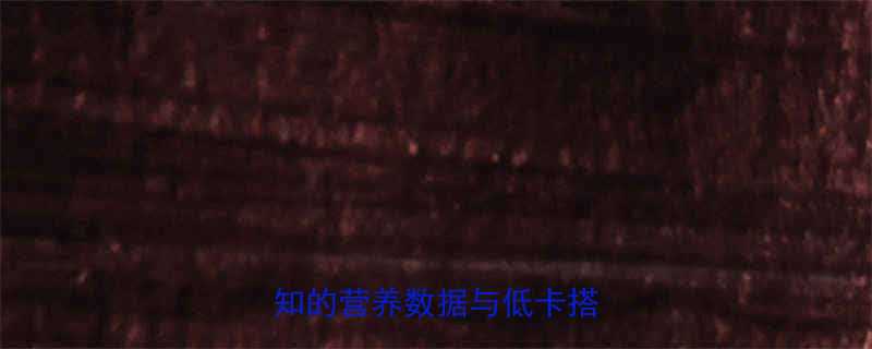 纯牛肉汉堡热量健康饮食必知的营养数据与低卡搭配指南-第1张图片-ZBLOG