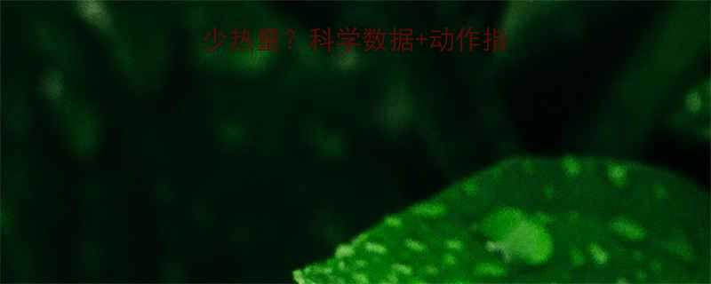 练肌肉每天消耗多少热量？科学数据+动作指南助你精准减脂塑形-第1张图片-ZBLOG