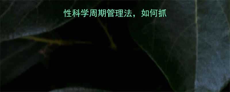 经期减肥黄金期女性科学周期管理法如何抓住生理优势安全减重-第1张图片-ZBLOG