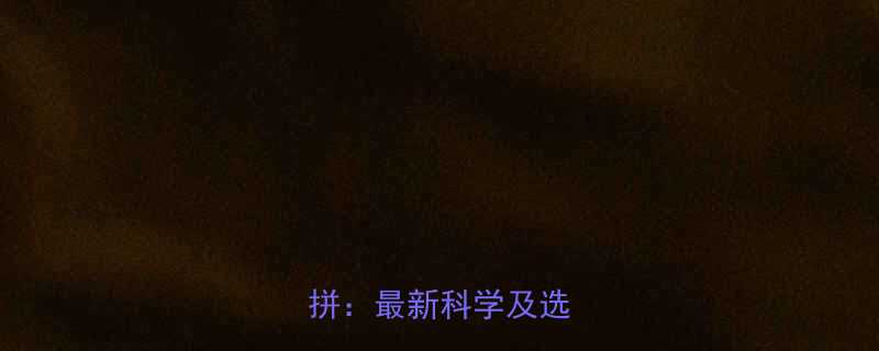 羊奶热量与牛奶热量大比拼最新科学及选购指南-第1张图片-ZBLOG