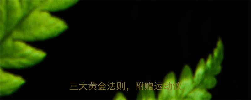 肌肉体质减肥指南高效减脂不反弹的三大黄金法则附赠运动饮食全攻略-第1张图片-ZBLOG