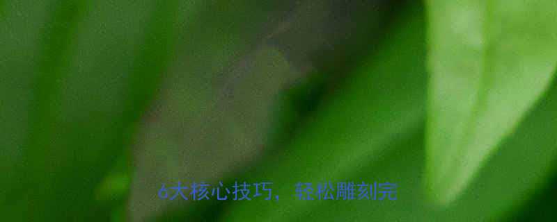 肌肉基础训练方法有哪些？掌握这6大核心技巧，轻松雕刻完美身材-第1张图片-ZBLOG