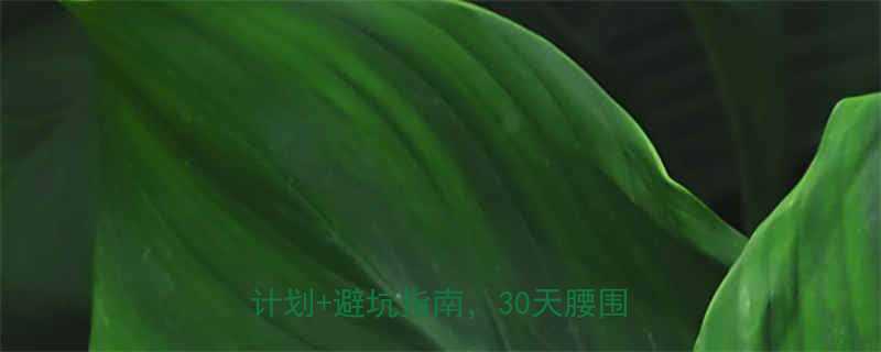 肥胖人群跑步减肥亲测有效科学减脂计划避坑指南30天腰围小5cm-第3张图片-ZBLOG