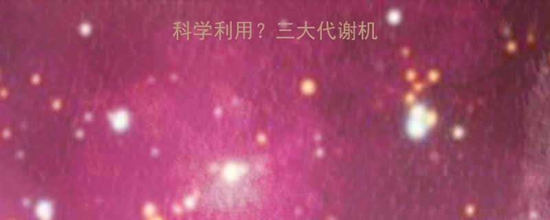 脂肪热量如何科学利用三大代谢机制与减肥误区全-第1张图片-ZBLOG