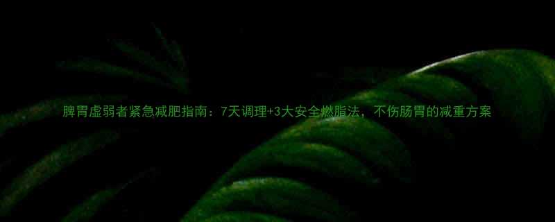 脾胃虚弱者紧急减肥指南7天调理3大安全燃脂法不伤肠胃的减重方案-第2张图片-ZBLOG