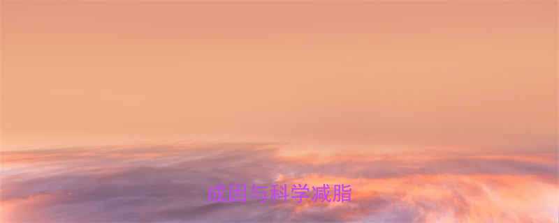 腹部肥胖的三大核心成因与科学减脂逻辑-第1张图片-ZBLOG