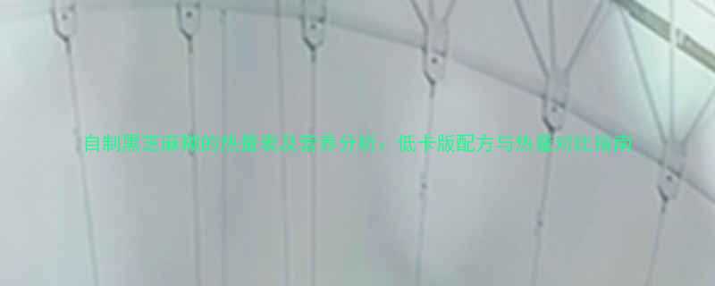 自制黑芝麻糊的热量表及营养分析低卡版配方与热量对比指南-第1张图片-ZBLOG